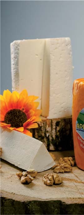 Արմտերմանի