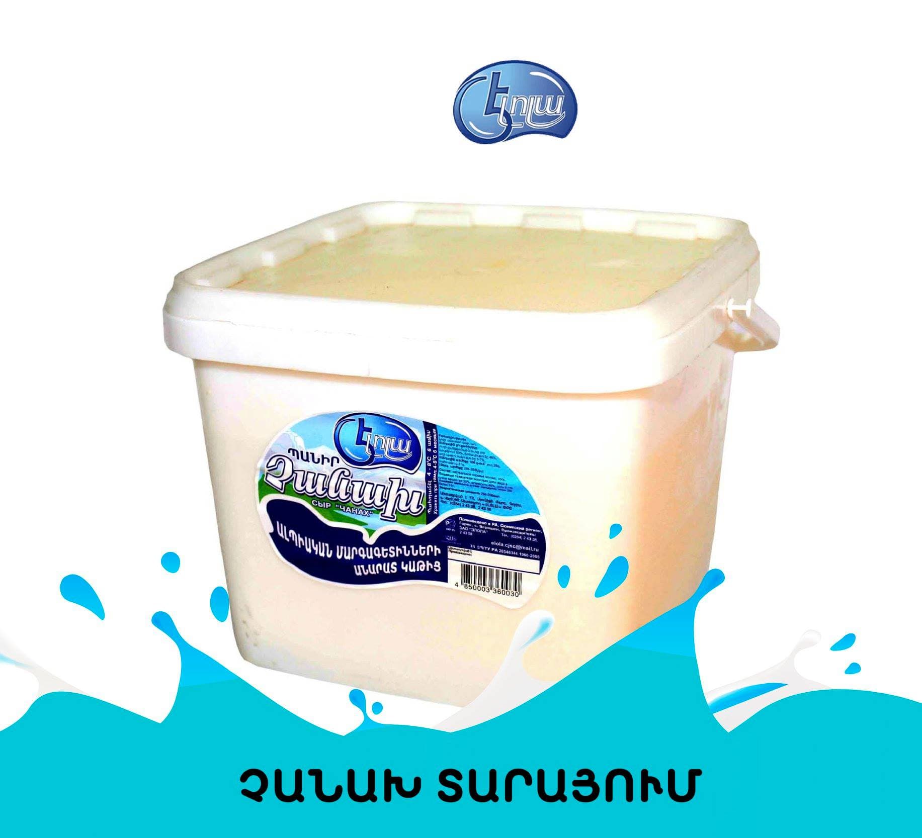 Չանախ Պանիր