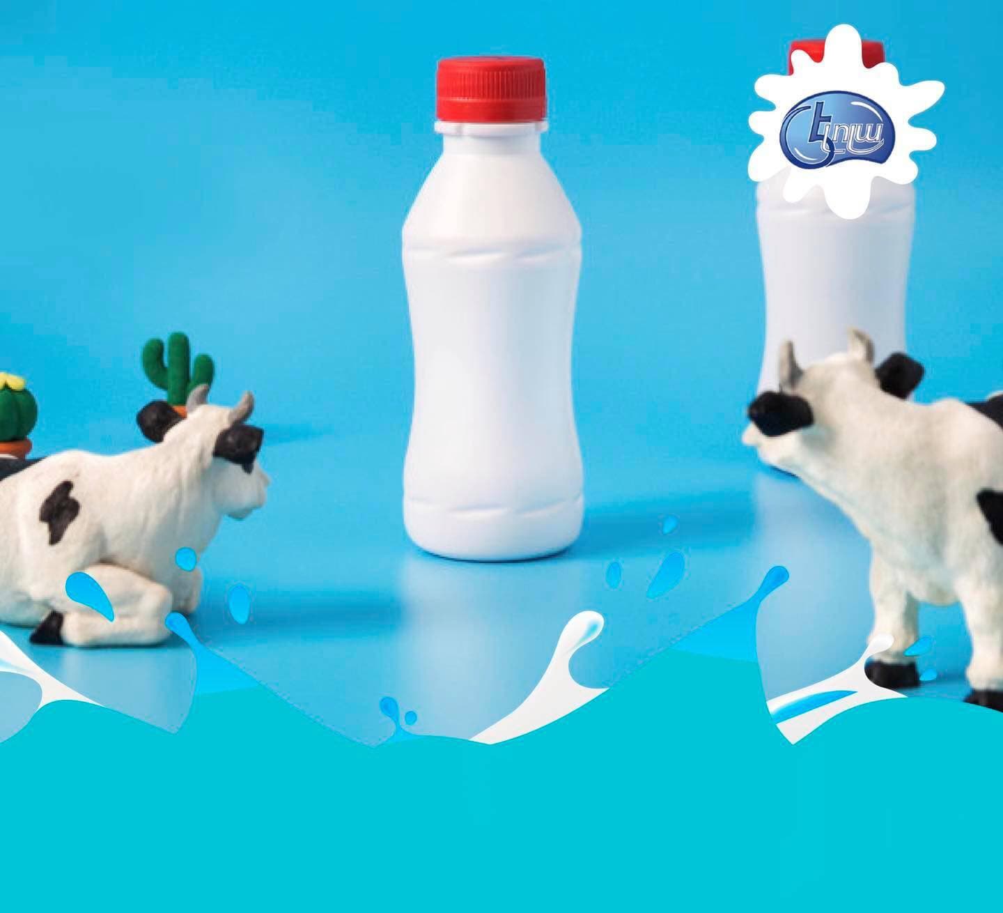 Թարմ Կաթ 3.2% 3