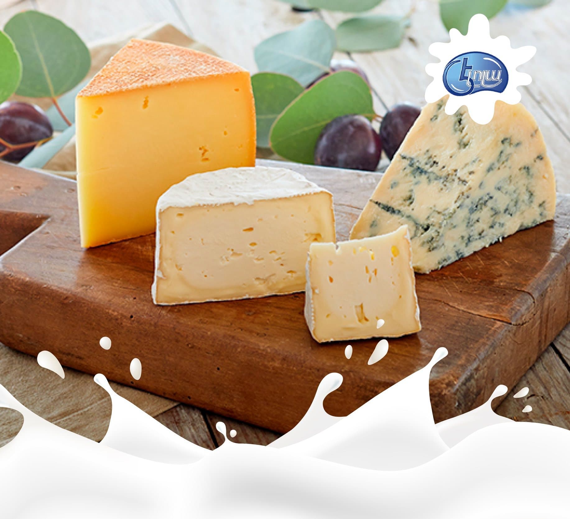 Ապխտած Սուլուգունի 4